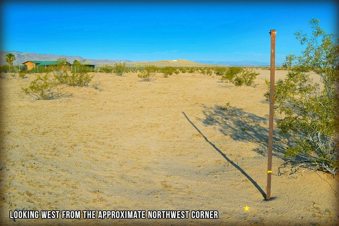 Mojave Road